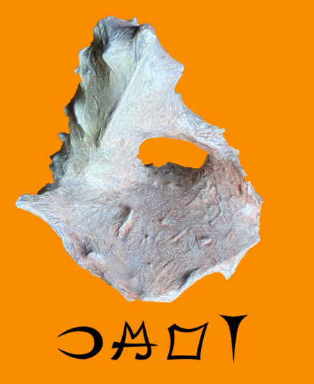 ijpö (espoir)
