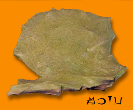 riök (réaliser)